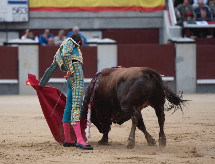 Madrid, 13 de mayo de 2018