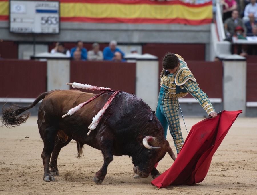 Madrid, 13 de mayo de 2018