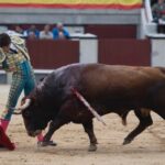 Madrid, 13 de mayo de 2018