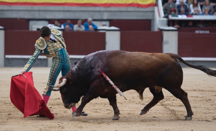 Madrid, 13 de mayo de 2018