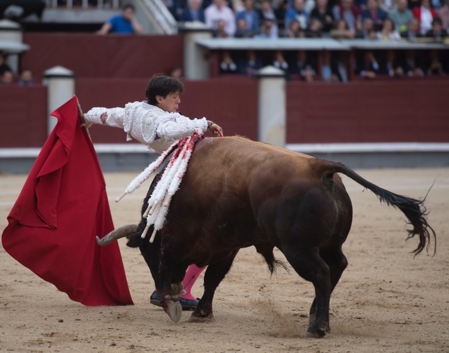 Madrid, 13 de mayo de 2018