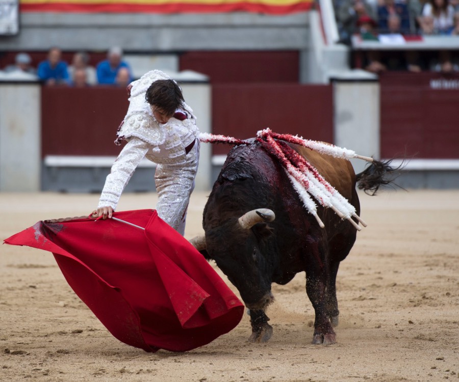 Madrid, 13 de mayo de 2018