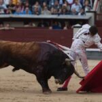 Madrid, 13 de mayo de 2018