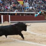 Madrid, 13 de mayo de 2018