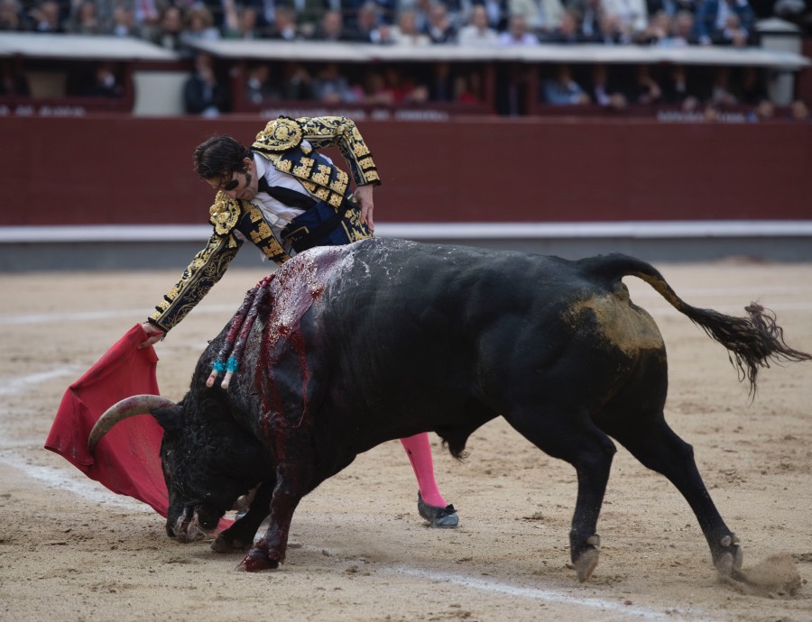 Madrid, 13 de mayo de 2018