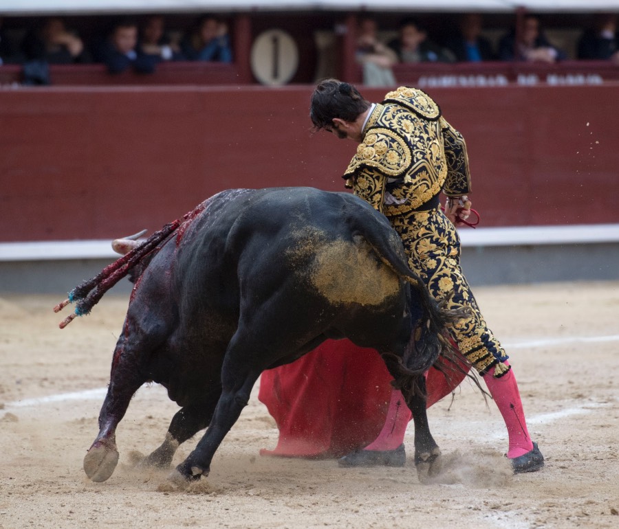 Madrid, 13 de mayo de 2018