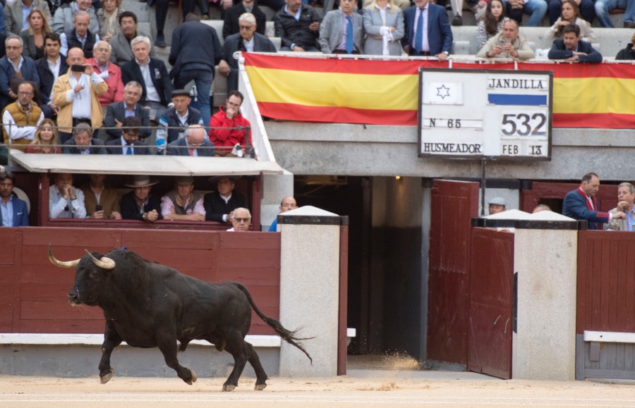 Madrid, 13 de mayo de 2018