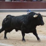 Madrid, 13 de mayo de 2018