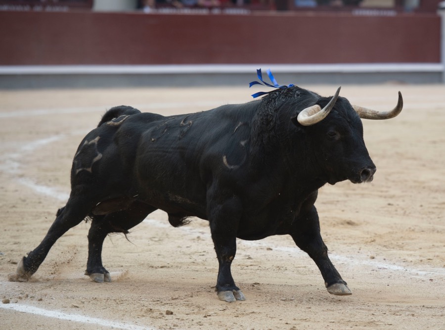Madrid, 13 de mayo de 2018