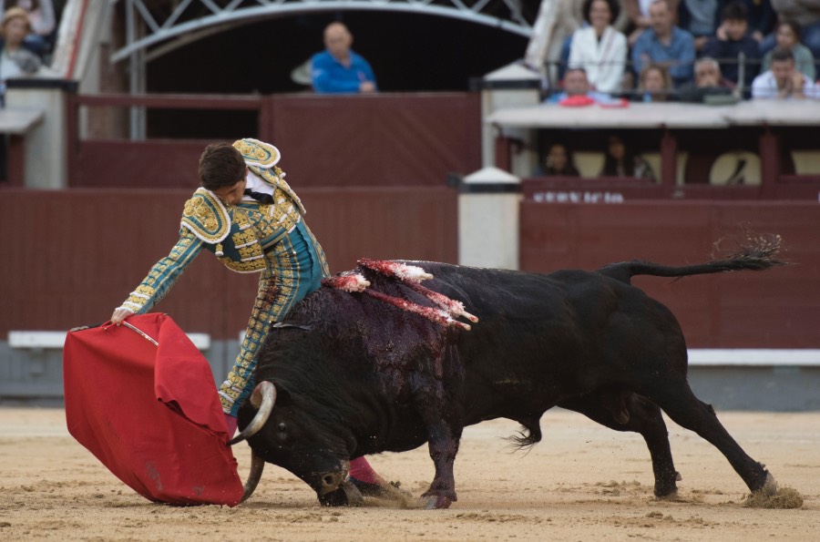 Madrid, 13 de mayo de 2018