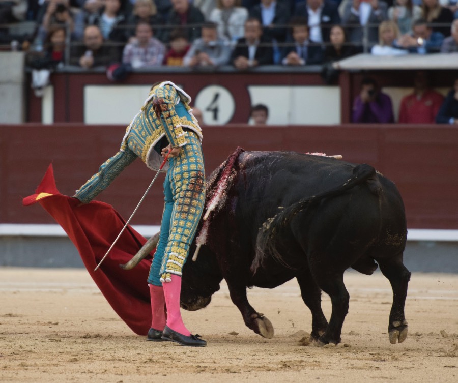 Madrid, 13 de mayo de 2018