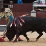 Madrid, 13 de mayo de 2018