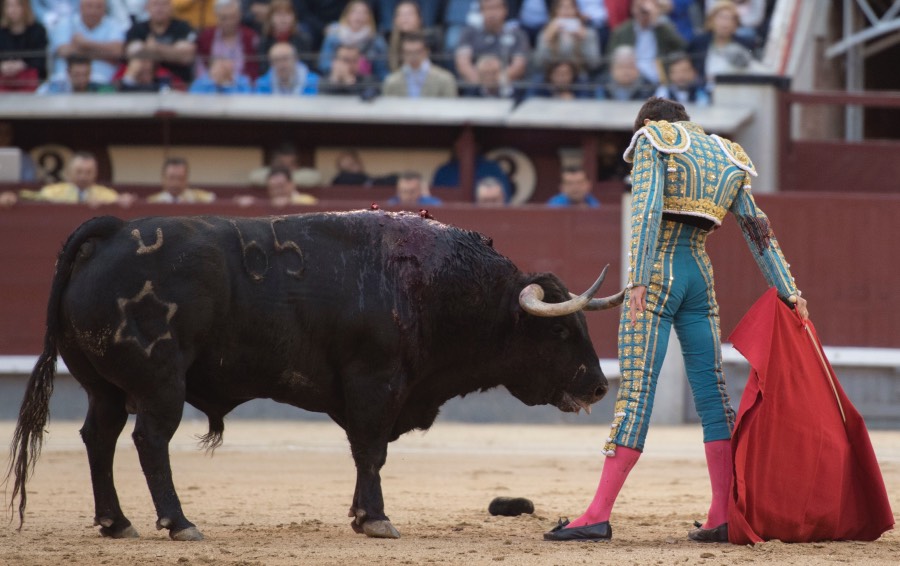 Madrid, 13 de mayo de 2018