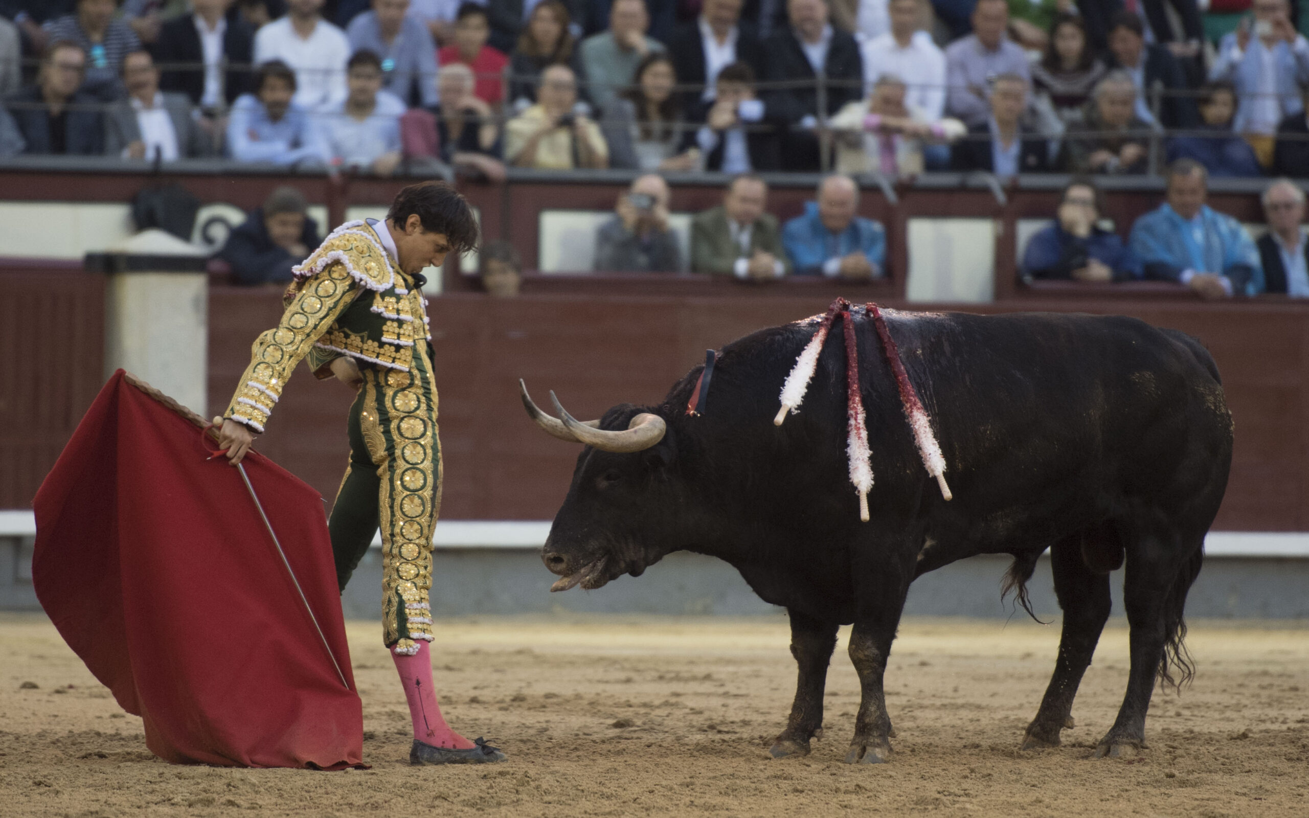 Madrid, miércoles 23 de mayo de 2018. Toros de Victoriano del Río para Miguel Ángel Perera, Alejandro Talavante y Roca Rey