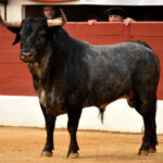 Vic-Fezensac, 19 de mayo de 2018