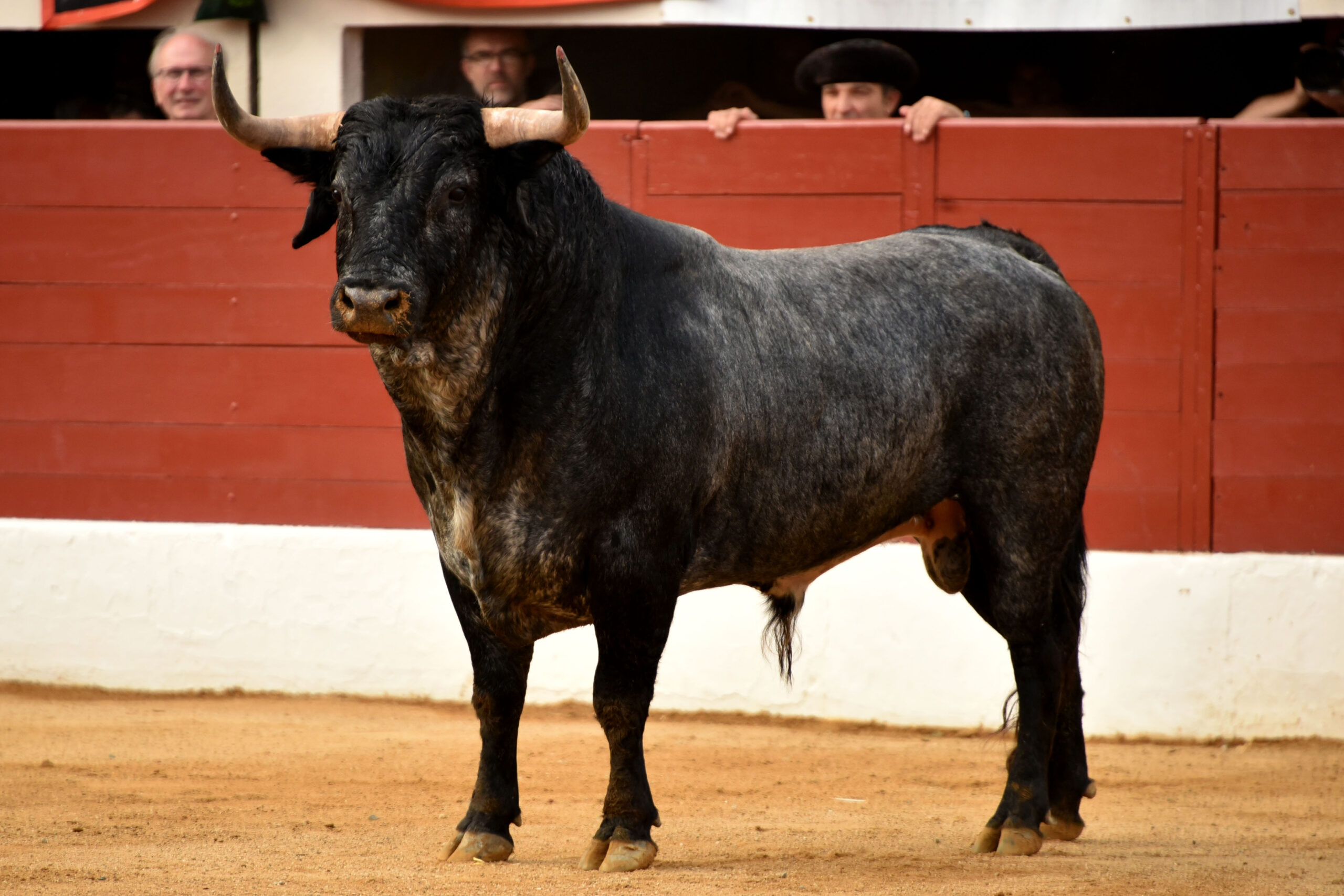 Vic-Fezensac, 19 de mayo de 2018