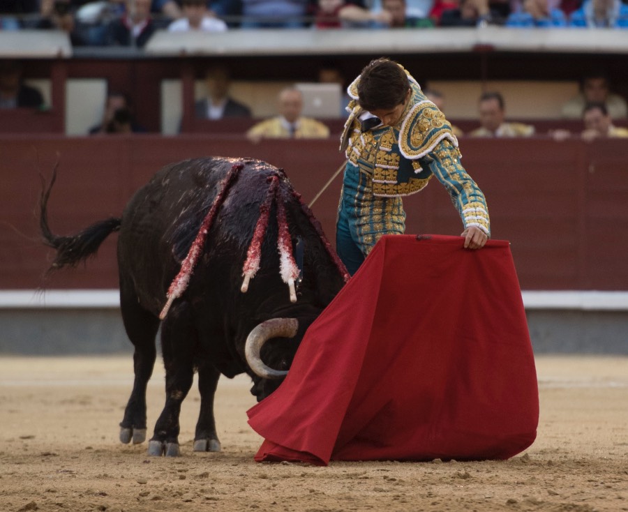 Madrid, 13 de mayo de 2018