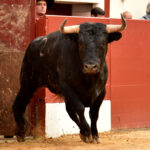 Vic-Fezensac, 19 de mayo de 2018