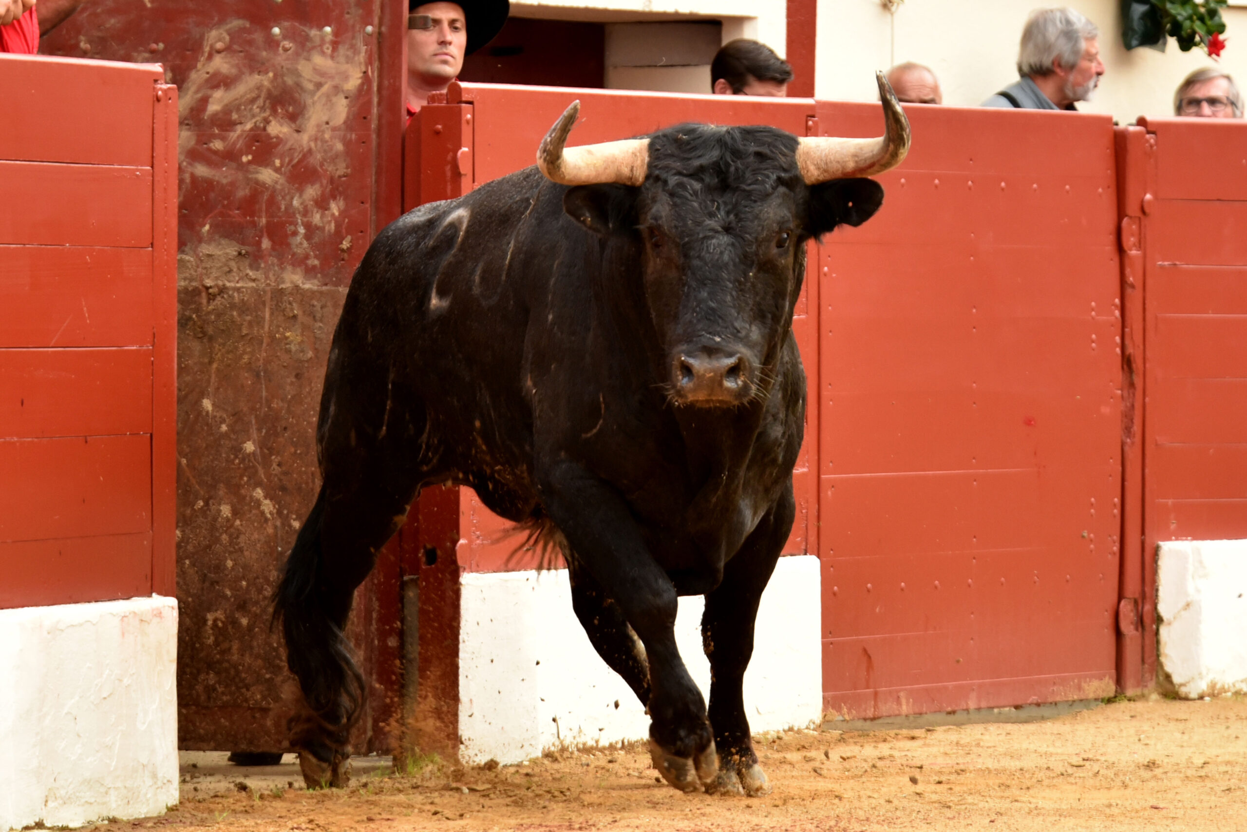 Vic-Fezensac, 19 de mayo de 2018