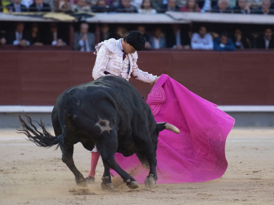 Madrid, 13 de mayo de 2018