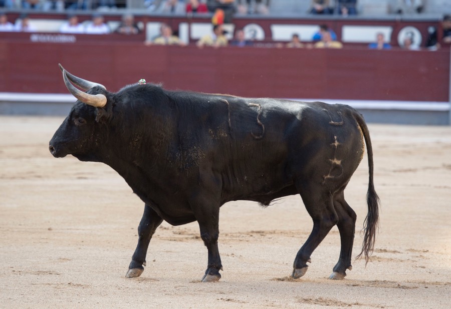 Madrid, 13 de mayo de 2018