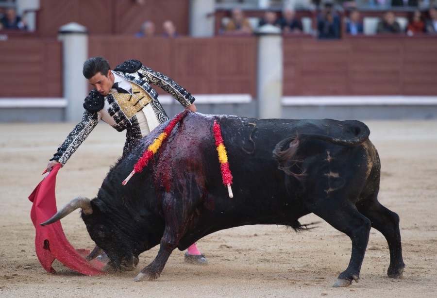 Madrid, 13 de mayo de 2018