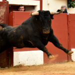 Vic-Fezensac, 19 de mayo de 2018