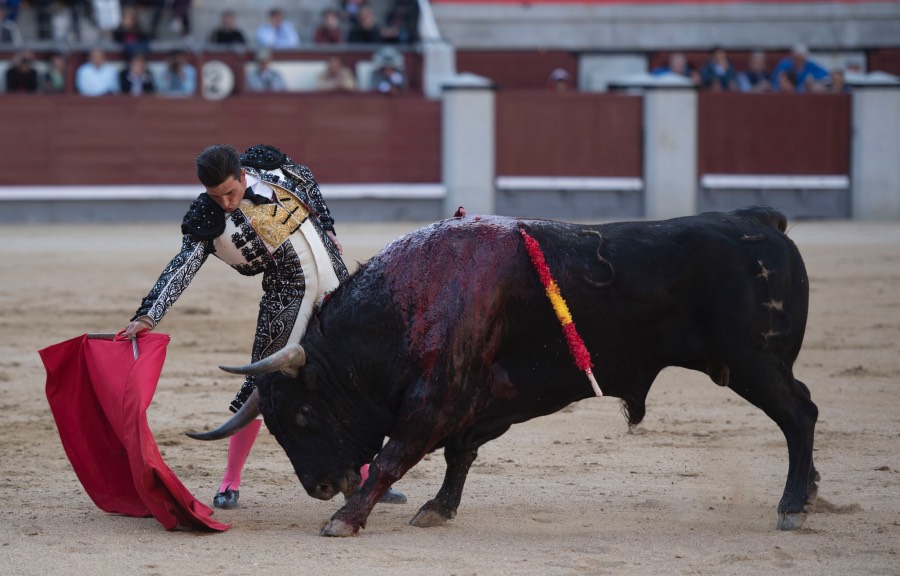 Madrid, 13 de mayo de 2018