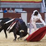 Madrid, 13 de mayo de 2018