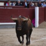 Madrid, 13 de mayo de 2018