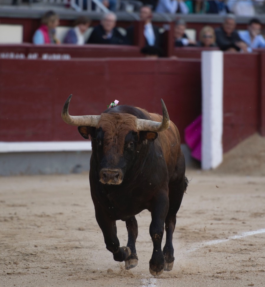 Madrid, 13 de mayo de 2018