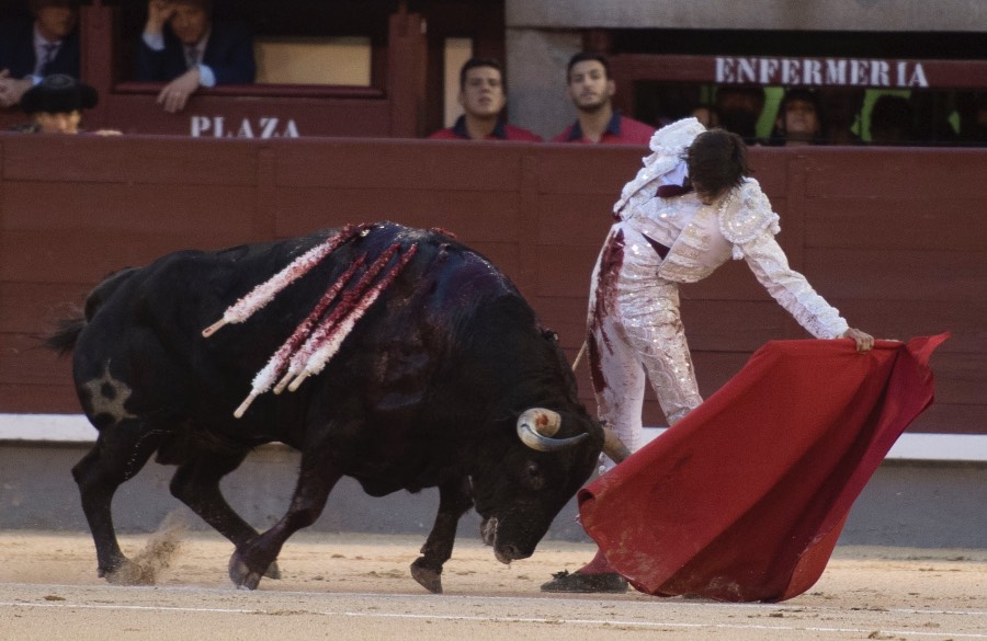 Madrid, 13 de mayo de 2018