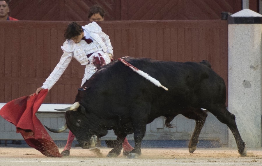 Madrid, 13 de mayo de 2018