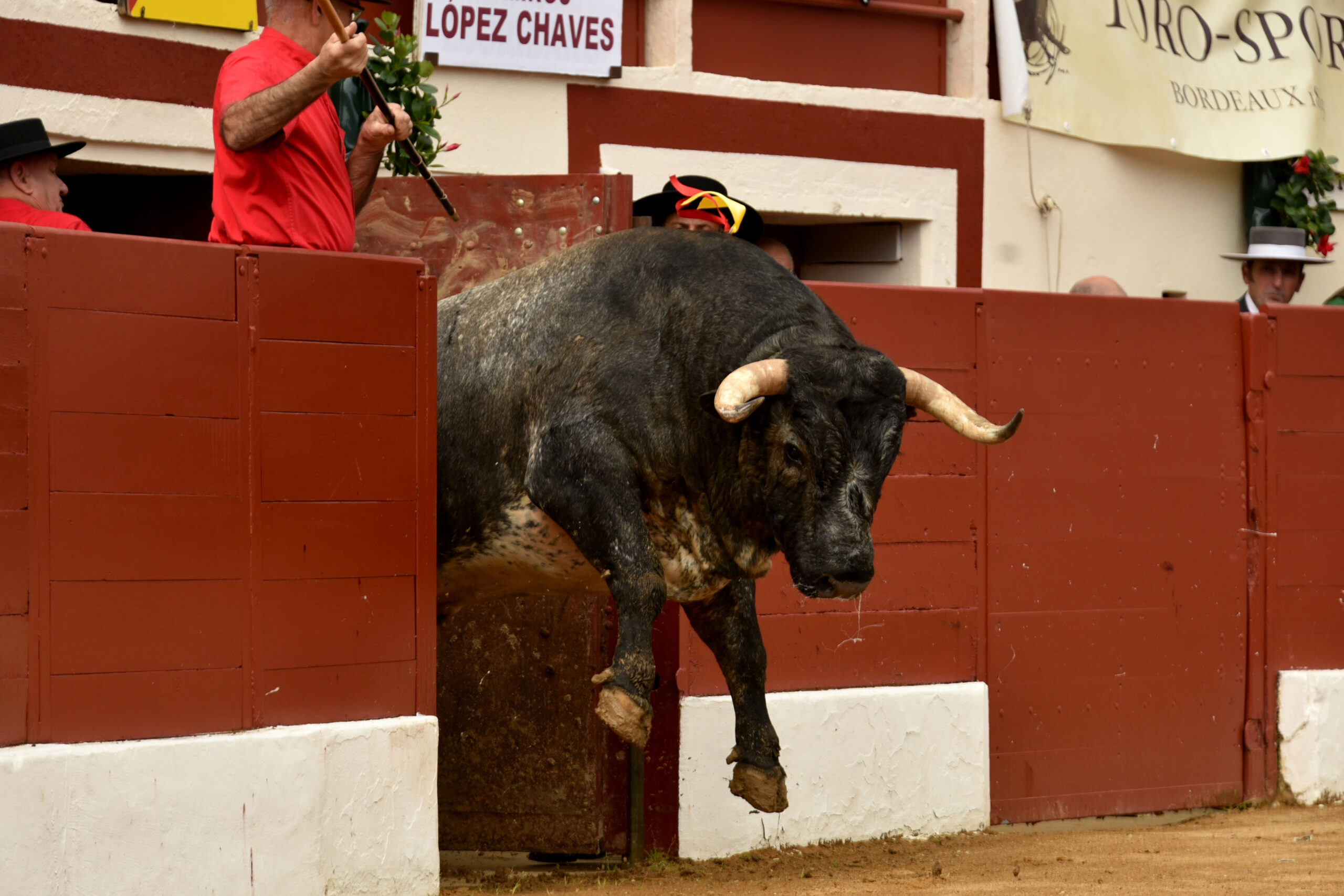 Vic-Fezensac (Francia) - Feria de Pentecostés - Matinal - Domingo 20 de mayo 2018