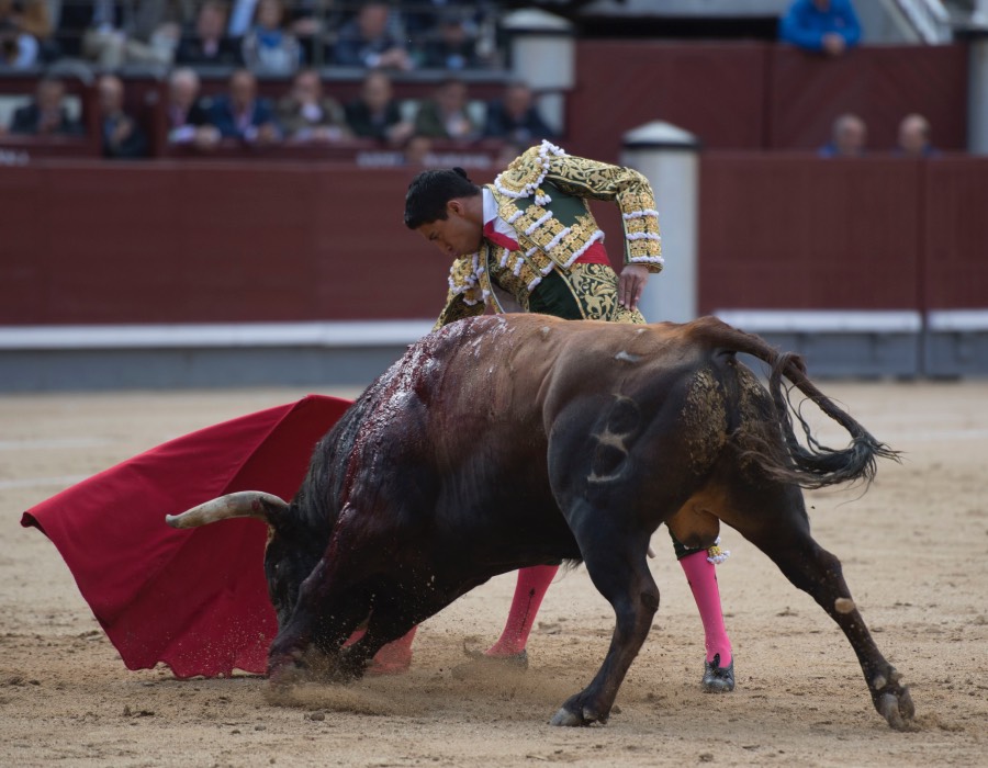 Madrid, 13 de mayo de 2018