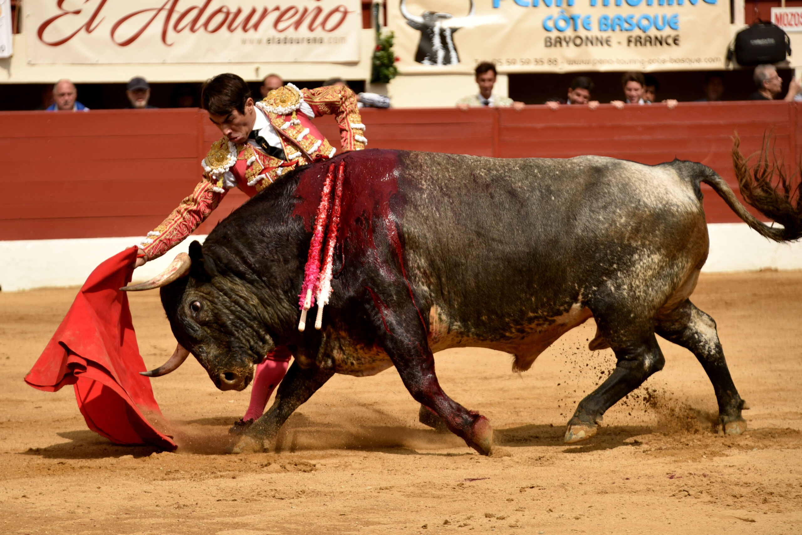 Vic-Fezensac (Francia) - Feria de Pentecostés - Matinal - Domingo 20 de mayo 2018