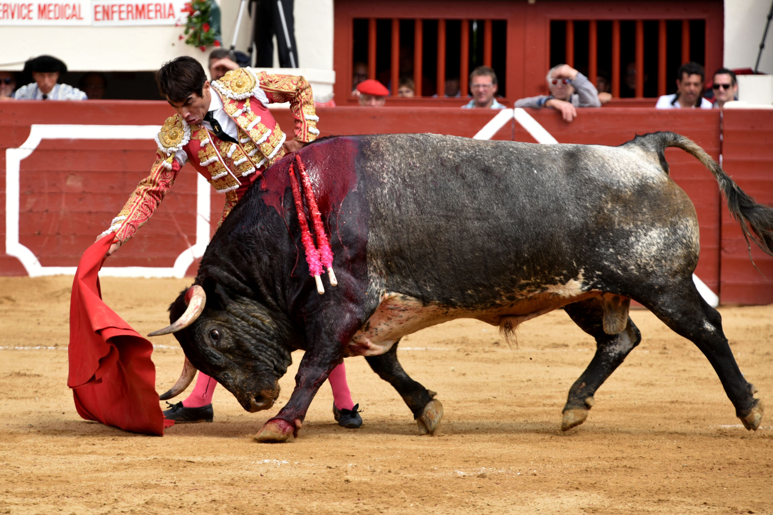 Vic-Fezensac (Francia) - Feria de Pentecostés - Matinal - Domingo 20 de mayo 2018