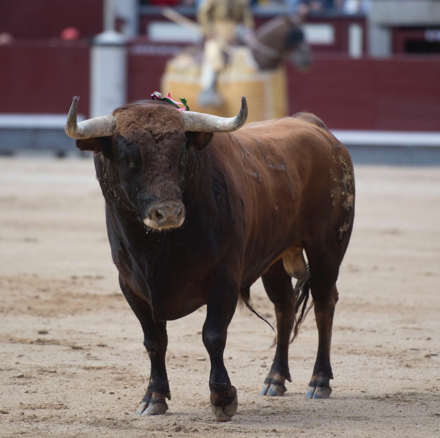 Madrid, 13 de mayo de 2018