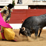 Vic-Fezensac (Francia) - Feria de Pentecostés - Matinal - Domingo 20 de mayo 2018