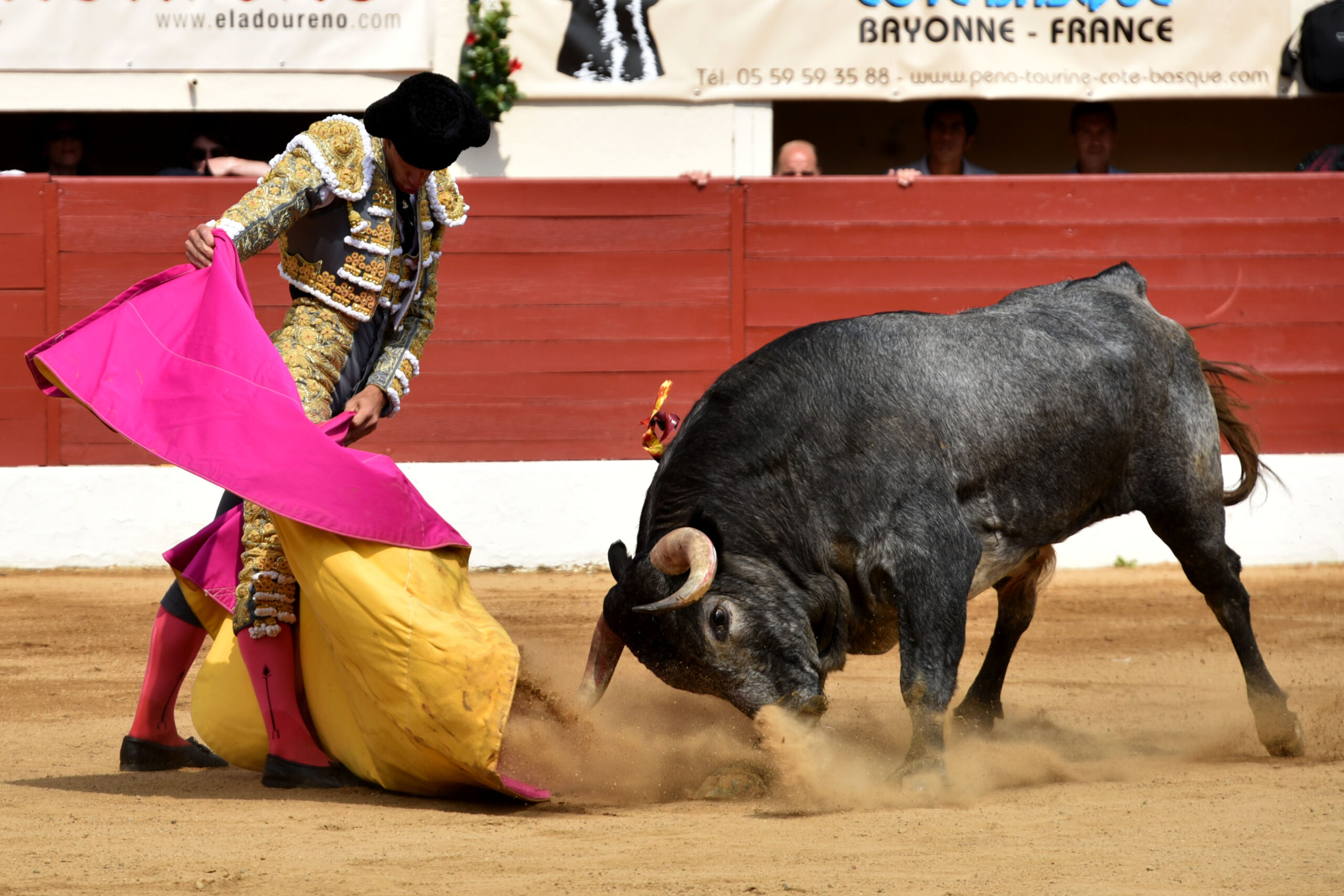 Vic-Fezensac (Francia) - Feria de Pentecostés - Matinal - Domingo 20 de mayo 2018