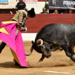 Vic-Fezensac (Francia) - Feria de Pentecostés - Matinal - Domingo 20 de mayo 2018
