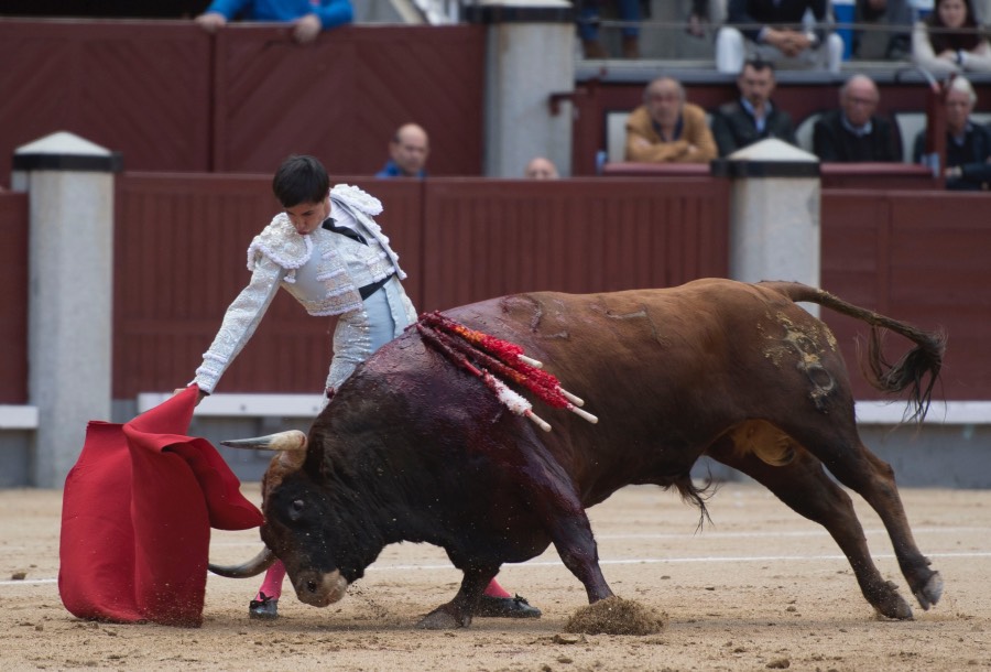 Madrid, 13 de mayo de 2018