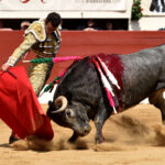 Vic-Fezensac (Francia) - Feria de Pentecostés - Matinal - Domingo 20 de mayo 2018