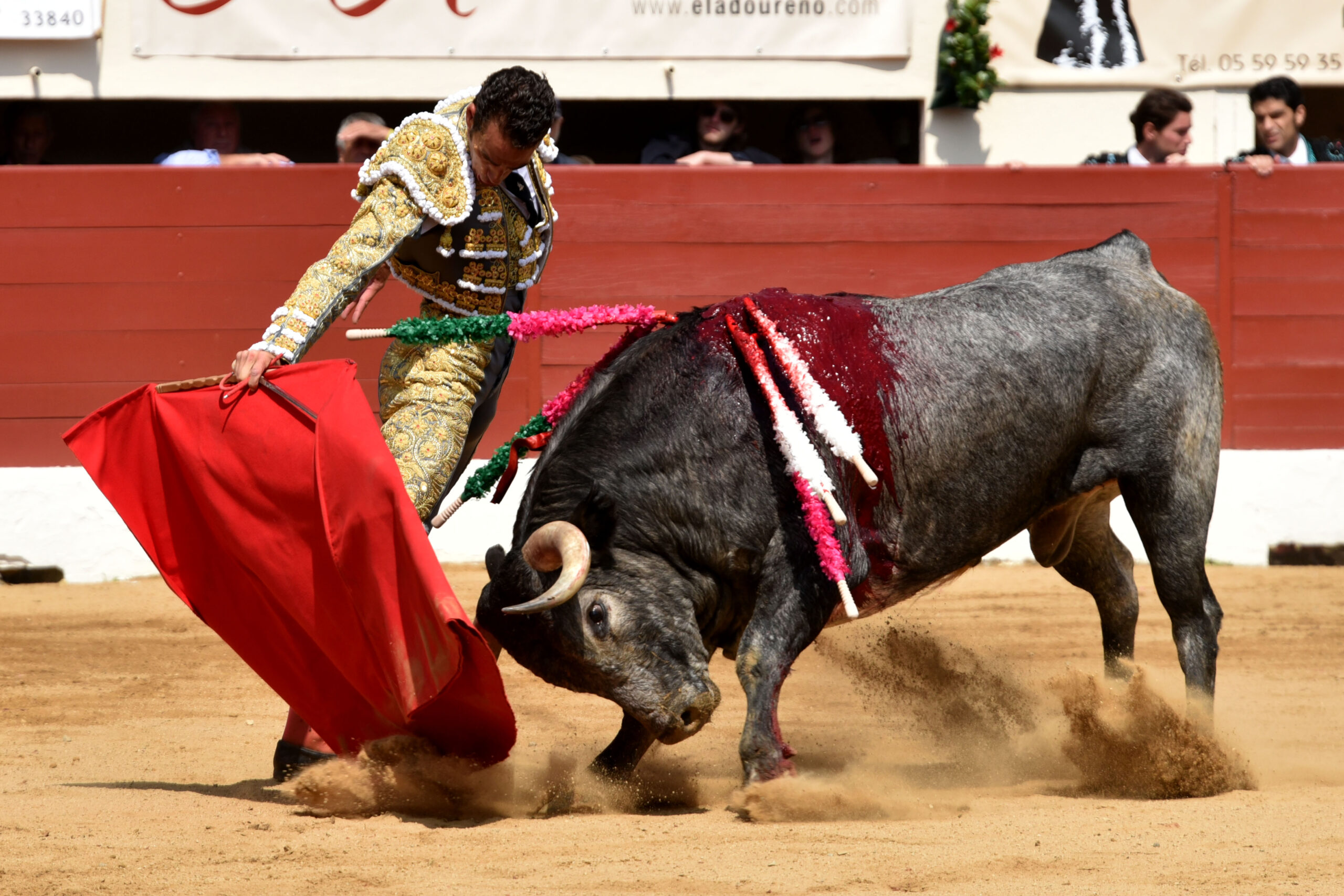 Vic-Fezensac (Francia) - Feria de Pentecostés - Matinal - Domingo 20 de mayo 2018