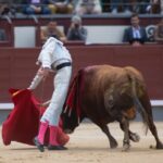 Madrid, 13 de mayo de 2018