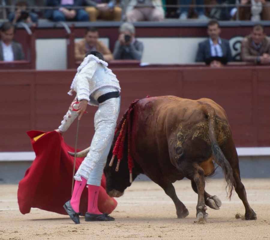 Madrid, 13 de mayo de 2018