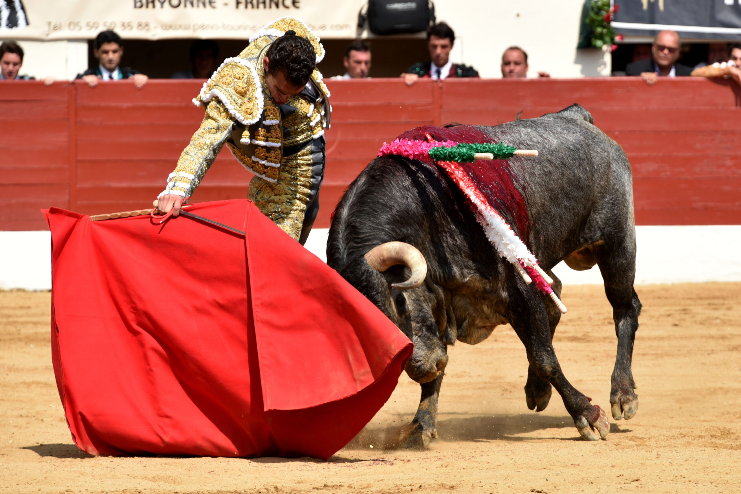 Vic-Fezensac (Francia) - Feria de Pentecostés - Matinal - Domingo 20 de mayo 2018