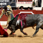 Vic-Fezensac (Francia) - Feria de Pentecostés - Matinal - Domingo 20 de mayo 2018