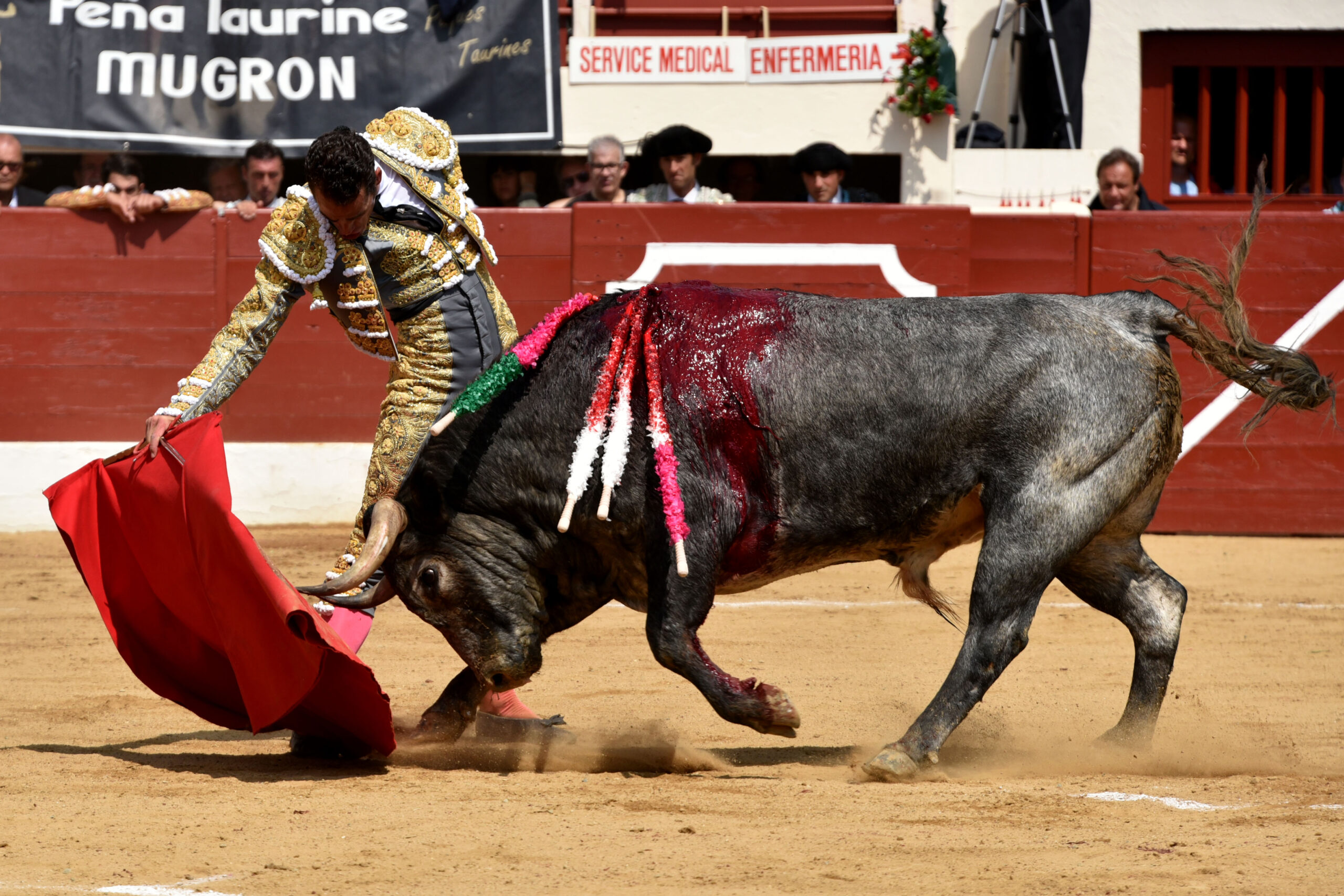 Vic-Fezensac (Francia) - Feria de Pentecostés - Matinal - Domingo 20 de mayo 2018
