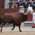 Madrid, 13 de mayo de 2018